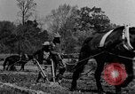 Standbild Feld pflügen Calhoun Alabama USA, 1940, aus Sekunde 36 historischem Filmmaterial Videoclip 65675050035