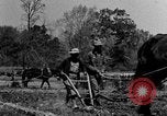 Standbild Feld pflügen Calhoun Alabama USA, 1940, aus Sekunde 37 historischem Filmmaterial Videoclip 65675050035