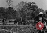 Standbild Feld pflügen Calhoun Alabama USA, 1940, aus Sekunde 39 historischem Filmmaterial Videoclip 65675050035