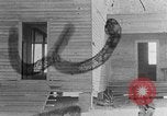 Standbild Wohnungen von Afroamerikanern im ländlichen Süden Calhoun Alabama USA, 1940, aus Sekunde 1 historischem Filmmaterial Videoclip 65675050041