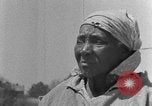 Standbild Afroamerikanische Familie im ländlichen Süden Calhoun Alabama USA, 1940, aus Sekunde 16 historischem Filmmaterial Videoclip 65675050042