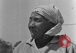 Standbild Afroamerikanische Familie im ländlichen Süden Calhoun Alabama USA, 1940, aus Sekunde 25 historischem Filmmaterial Videoclip 65675050042