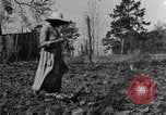 Standbild Maultier gezogener Pflug für afroamerikanischen Landwirt Calhoun Alabama USA, 1940, aus Sekunde 1 historischem Filmmaterial Videoclip 65675050043