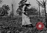 Standbild Maultier gezogener Pflug für afroamerikanischen Landwirt Calhoun Alabama USA, 1940, aus Sekunde 3 historischem Filmmaterial Videoclip 65675050043
