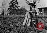 Standbild Maultier gezogener Pflug für afroamerikanischen Landwirt Calhoun Alabama USA, 1940, aus Sekunde 4 historischem Filmmaterial Videoclip 65675050043
