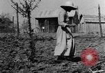 Standbild Maultier gezogener Pflug für afroamerikanischen Landwirt Calhoun Alabama USA, 1940, aus Sekunde 6 historischem Filmmaterial Videoclip 65675050043