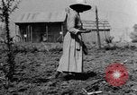Standbild Maultier gezogener Pflug für afroamerikanischen Landwirt Calhoun Alabama USA, 1940, aus Sekunde 7 historischem Filmmaterial Videoclip 65675050043