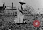 Standbild Maultier gezogener Pflug für afroamerikanischen Landwirt Calhoun Alabama USA, 1940, aus Sekunde 9 historischem Filmmaterial Videoclip 65675050043