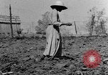 Standbild Maultier gezogener Pflug für afroamerikanischen Landwirt Calhoun Alabama USA, 1940, aus Sekunde 10 historischem Filmmaterial Videoclip 65675050043