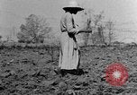 Standbild Maultier gezogener Pflug für afroamerikanischen Landwirt Calhoun Alabama USA, 1940, aus Sekunde 11 historischem Filmmaterial Videoclip 65675050043