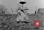 Standbild Maultier gezogener Pflug für afroamerikanischen Landwirt Calhoun Alabama USA, 1940, aus Sekunde 12 historischem Filmmaterial Videoclip 65675050043