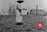 Standbild Maultier gezogener Pflug für afroamerikanischen Landwirt Calhoun Alabama USA, 1940, aus Sekunde 13 historischem Filmmaterial Videoclip 65675050043