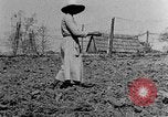 Standbild Maultier gezogener Pflug für afroamerikanischen Landwirt Calhoun Alabama USA, 1940, aus Sekunde 14 historischem Filmmaterial Videoclip 65675050043