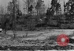 Standbild Maultier gezogener Pflug für afroamerikanischen Landwirt Calhoun Alabama USA, 1940, aus Sekunde 17 historischem Filmmaterial Videoclip 65675050043