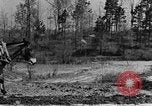 Standbild Maultier gezogener Pflug für afroamerikanischen Landwirt Calhoun Alabama USA, 1940, aus Sekunde 18 historischem Filmmaterial Videoclip 65675050043