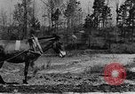 Standbild Maultier gezogener Pflug für afroamerikanischen Landwirt Calhoun Alabama USA, 1940, aus Sekunde 19 historischem Filmmaterial Videoclip 65675050043