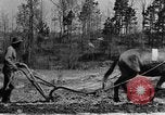 Standbild Maultier gezogener Pflug für afroamerikanischen Landwirt Calhoun Alabama USA, 1940, aus Sekunde 22 historischem Filmmaterial Videoclip 65675050043
