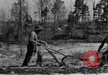 Standbild Maultier gezogener Pflug für afroamerikanischen Landwirt Calhoun Alabama USA, 1940, aus Sekunde 23 historischem Filmmaterial Videoclip 65675050043
