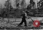 Standbild Maultier gezogener Pflug für afroamerikanischen Landwirt Calhoun Alabama USA, 1940, aus Sekunde 24 historischem Filmmaterial Videoclip 65675050043