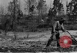Standbild Maultier gezogener Pflug für afroamerikanischen Landwirt Calhoun Alabama USA, 1940, aus Sekunde 25 historischem Filmmaterial Videoclip 65675050043
