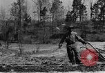 Standbild Maultier gezogener Pflug für afroamerikanischen Landwirt Calhoun Alabama USA, 1940, aus Sekunde 26 historischem Filmmaterial Videoclip 65675050043