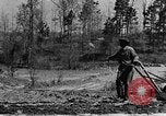 Standbild Maultier gezogener Pflug für afroamerikanischen Landwirt Calhoun Alabama USA, 1940, aus Sekunde 27 historischem Filmmaterial Videoclip 65675050043