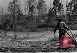 Standbild Maultier gezogener Pflug für afroamerikanischen Landwirt Calhoun Alabama USA, 1940, aus Sekunde 28 historischem Filmmaterial Videoclip 65675050043