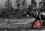 Standbild Maultier gezogener Pflug für afroamerikanischen Landwirt Calhoun Alabama USA, 1940, aus Sekunde 29 historischem Filmmaterial Videoclip 65675050043