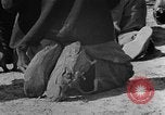 Standbild Afroamerikanische Kinder basteln Calhoun Alabama USA, 1940, aus Sekunde 49 historischem Filmmaterial Videoclip 65675050046