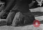 Standbild Afroamerikanische Kinder basteln Calhoun Alabama USA, 1940, aus Sekunde 54 historischem Filmmaterial Videoclip 65675050046