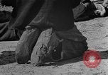 Standbild Afroamerikanische Kinder basteln Calhoun Alabama USA, 1940, aus Sekunde 55 historischem Filmmaterial Videoclip 65675050046