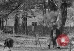 Standbild ice cream Truck Calhoun Alabama USA, 1940, aus Sekunde 35 historischem Filmmaterial Videoclip 65675050054
