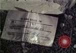 Image of flower garden Beirut Lebanon, 1983, second 3 stock footage video 65675050067