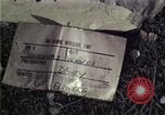 Image of flower garden Beirut Lebanon, 1983, second 4 stock footage video 65675050067