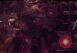 Image of search and rescue Beirut Lebanon, 1983, second 44 stock footage video 65675050071