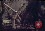 Image of casualties Beirut Lebanon, 1983, second 14 stock footage video 65675050072