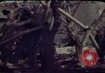 Image of casualties Beirut Lebanon, 1983, second 16 stock footage video 65675050072