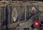 Immagine di Nomi dei marines americani Beirut Libano, 1983, secondo 3 filmato di repertorio 65675050078