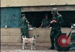 Standbild amerikanischen Marines Beirut Libanon, 1983, aus Sekunde 12 historischem Filmmaterial Videoclip 65675050104