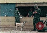 Standbild amerikanischen Marines Beirut Libanon, 1983, aus Sekunde 14 historischem Filmmaterial Videoclip 65675050104