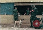 Standbild amerikanischen Marines Beirut Libanon, 1983, aus Sekunde 15 historischem Filmmaterial Videoclip 65675050104