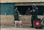 Standbild amerikanischen Marines Beirut Libanon, 1983, aus Sekunde 16 historischem Filmmaterial Videoclip 65675050104