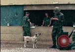 Standbild amerikanischen Marines Beirut Libanon, 1983, aus Sekunde 17 historischem Filmmaterial Videoclip 65675050104