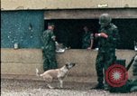Standbild amerikanischen Marines Beirut Libanon, 1983, aus Sekunde 18 historischem Filmmaterial Videoclip 65675050104