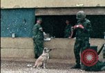Standbild amerikanischen Marines Beirut Libanon, 1983, aus Sekunde 19 historischem Filmmaterial Videoclip 65675050104