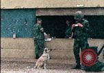 Standbild amerikanischen Marines Beirut Libanon, 1983, aus Sekunde 20 historischem Filmmaterial Videoclip 65675050104