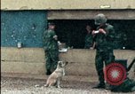 Standbild amerikanischen Marines Beirut Libanon, 1983, aus Sekunde 21 historischem Filmmaterial Videoclip 65675050104