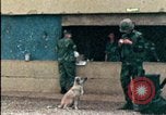 Standbild amerikanischen Marines Beirut Libanon, 1983, aus Sekunde 22 historischem Filmmaterial Videoclip 65675050104