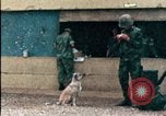 Standbild amerikanischen Marines Beirut Libanon, 1983, aus Sekunde 23 historischem Filmmaterial Videoclip 65675050104