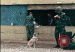 Standbild amerikanischen Marines Beirut Libanon, 1983, aus Sekunde 24 historischem Filmmaterial Videoclip 65675050104